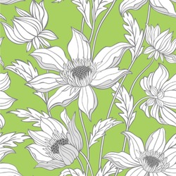 Wild Daisies Wallpaper & Surface Covering (Water Activated 24"x 24" Sample)