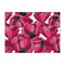 Tulips Tissue Paper - Heavyweight - Large - Front