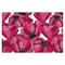 Tulips Tissue Paper - Heavyweight - XL - Front