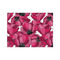 Tulips Tissue Paper - Lightweight - Medium - Front