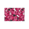 Tulips Tissue Paper - Lightweight - Small - Front