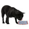 Blue Parrot Plastic Pet Bowls - Medium - LIFESTYLE