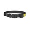 Buzzing Bee Dog Collar - Small - Back