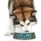 Hawaiian Masks Plastic Pet Bowls - Large - LIFESTYLE