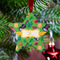 Luau Party Metal Star Ornament - Lifestyle