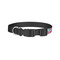 Dessert & Coffee Dog Collar - Small - Back