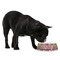 Daisies Plastic Pet Bowls - Medium - LIFESTYLE