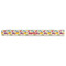 Dragons Plastic Ruler - 12" - FRONT