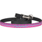 Sparkle & Dots Dog Leash w/ Metal Hook2