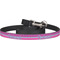 Sparkle & Dots Dog Leash (Personalized)