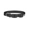 Graffiti Dog Collar - Small - Back