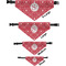 Atomic Orbit Pet Bandana Sizes