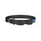 PI Dog Collar - Small - Back