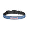 PI Dog Collar - Small - Front