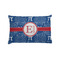 PI Pillow Case - Standard - Front