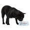 Reindeer Plastic Pet Bowls - Medium - LIFESTYLE