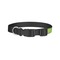 Safari Dog Collar - Small - Back