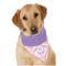 Pink, White & Purple Damask Bandana - On Dog