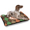 Brown Argyle Outdoor Dog Beds - Large - IN CONTEXT