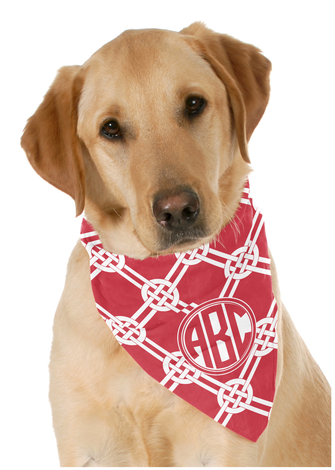 Celtic hot sale dog bandana