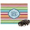 Retro Horizontal Stripes Microfleece Dog Blanket - Large