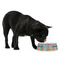 Retro Scales & Stripes Plastic Pet Bowls - Medium - LIFESTYLE