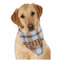 Two Color Plaid Bandana - On Dog