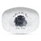 Zodiac Constellations Microwave & Dishwasher Safe CP Plastic Platter - Main