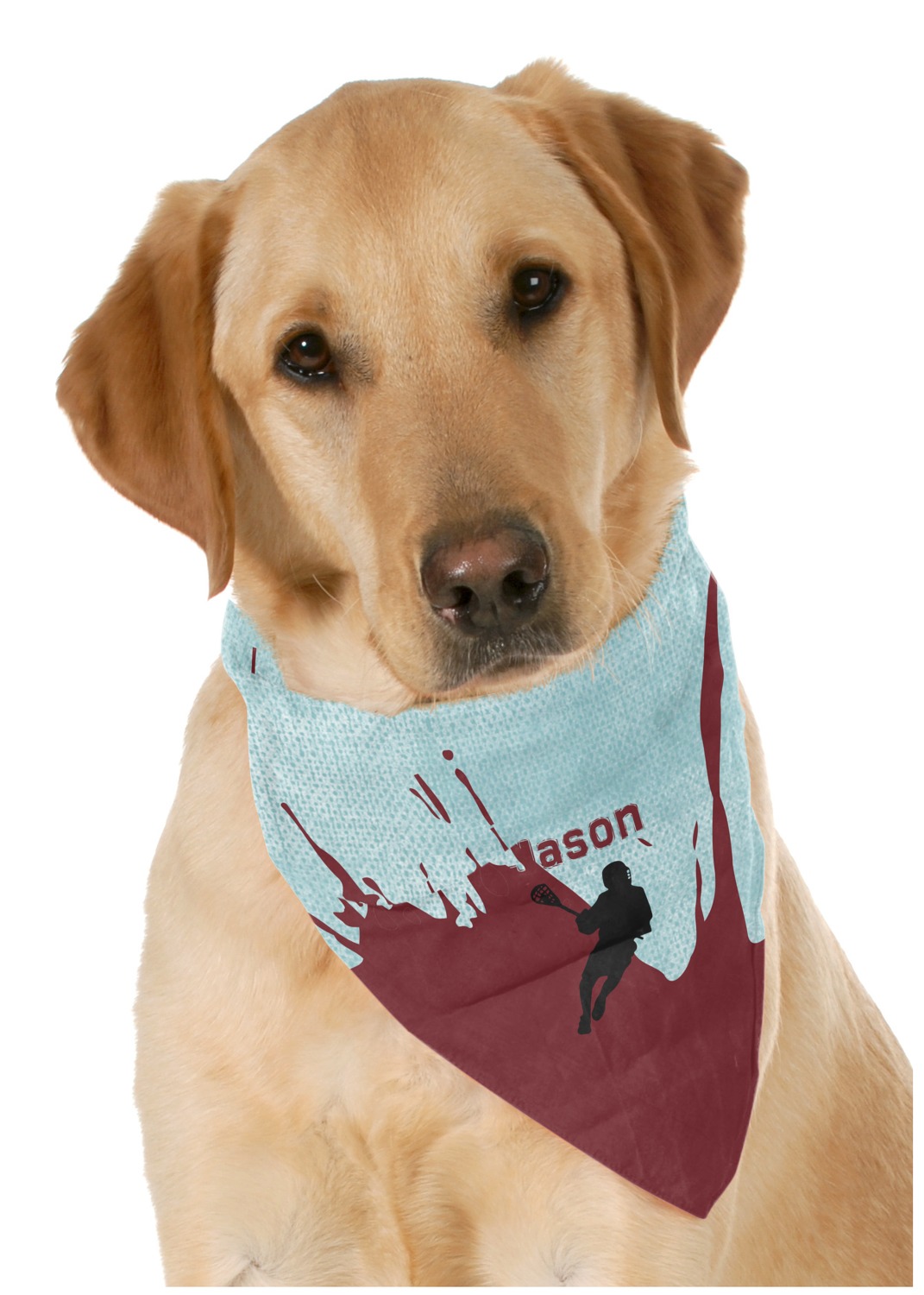 Personalized Lacrosse Pet Scarf