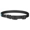 Lacrosse Dog Collar - Medium - Back