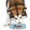 Lacrosse Plastic Pet Bowls - Large - LIFESTYLE