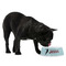 Lacrosse Plastic Pet Bowls - Medium - LIFESTYLE