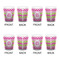 Pink & Green Chevron Shot Glass - White - Set of 4 - APPROVAL