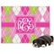 Pink & Green Argyle Microfleece Dog Blanket - Large