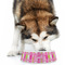 Pink & Green Argyle Plastic Pet Bowls - Large - LIFESTYLE