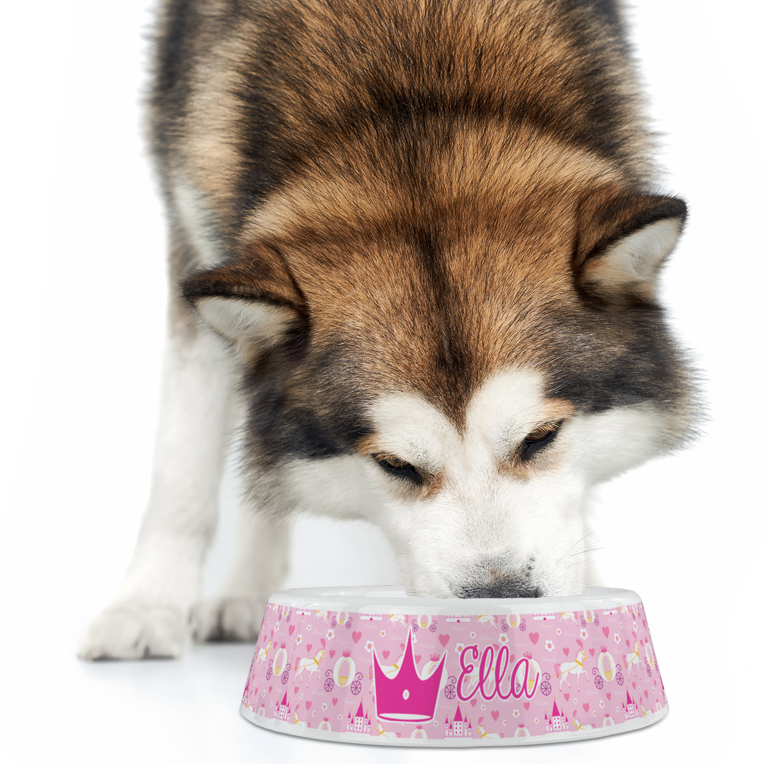 Large plastic cheap dog bowls