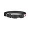 Linked Circles & Diamonds Dog Collar - Small - Back