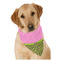 Pink & Lime Green Leopard Bandana - On Dog