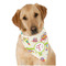 Rocking Robots Bandana - On Dog