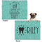 Dental Hygienist Microfleece Dog Blanket - Regular - Front & Back