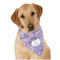 Sea Shells Bandana - On Dog