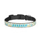 Teal Circles & Stripes Dog Collar - Small - Front