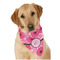 Gerbera Daisy Bandana - On Dog