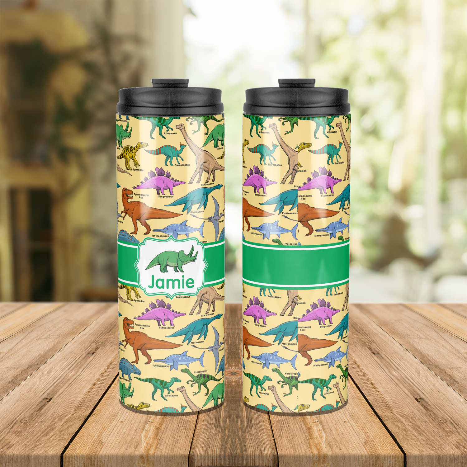 Dinosaurs Stainless Steel Skinny Tumbler (Personalized) - YouCustomizeIt