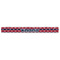 Anchors & Argyle Plastic Ruler - 12" - FRONT