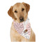 Coconut and Leaves Bandana - On Dog