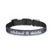 All Anchors Dog Collar - Small - Front