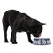 All Anchors Plastic Pet Bowls - Medium - LIFESTYLE