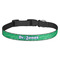 Equations Dog Collar - Medium - Front