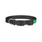 Equations Dog Collar - Small - Back